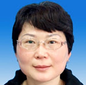 室速等难治性心律失常治疗领域