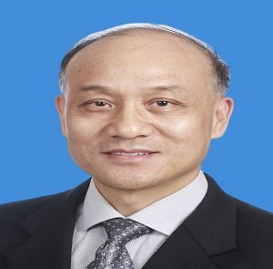 专科化的人才队伍