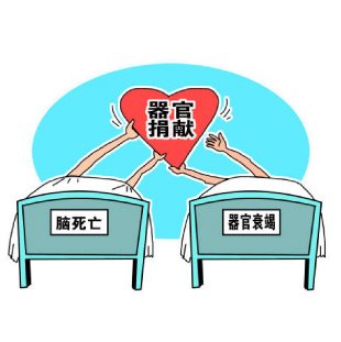 人类社会的进步使互助关爱成为常态