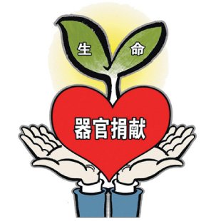 您留下了鲜花一簇